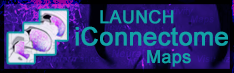 Launch iConnectome Maps