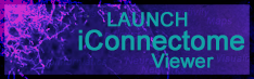 Launch iConnectome